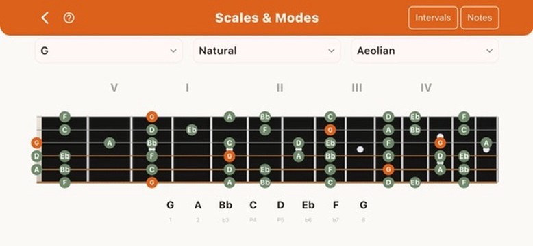 Mind the Guitar visualization